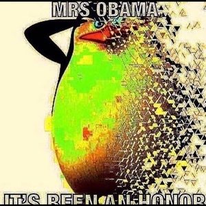 Meet your Posher, Collin